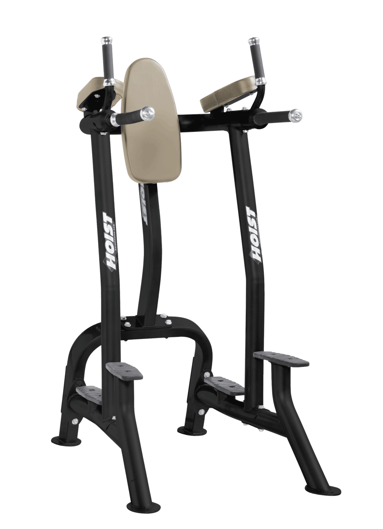 Vertical Knee Raise / Dip