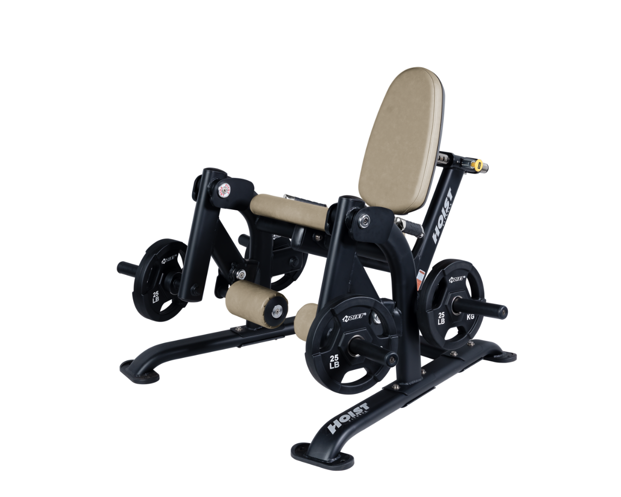 Leg Extension