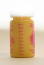 Paint Touch Up (Yellow)