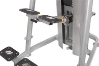 RS-1700 Chin/Dip Assist