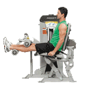 RS-1402 Leg Curl