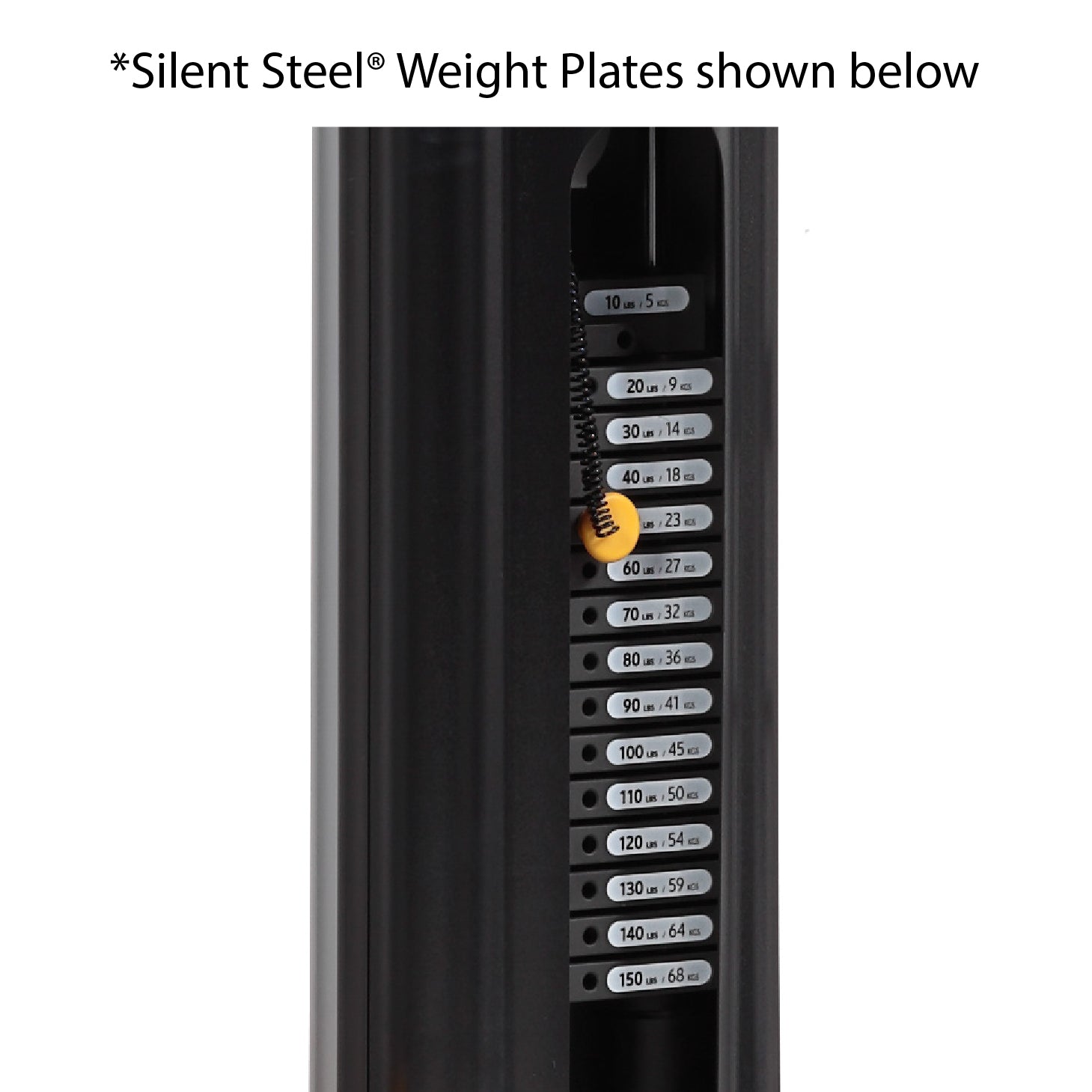 2.5lb Add On Weight Made for Silent Steel Weight Plates HOIST